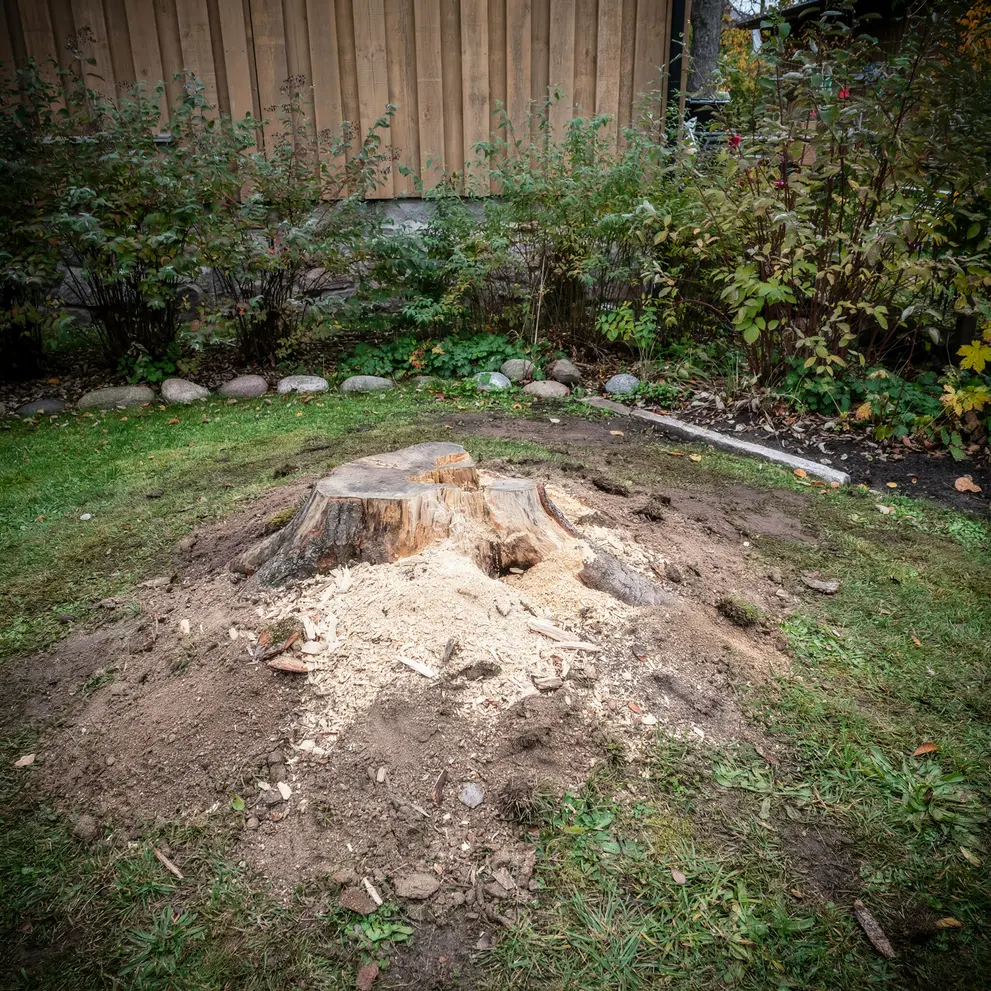 grasklippning sollentuna